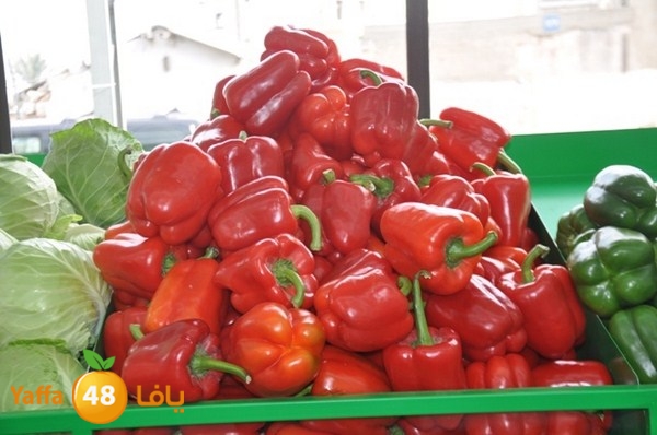 souq yaffa 0123 (6).JPG